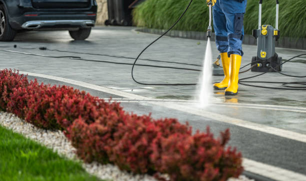 Best Driveway Pressure Washing  in Red Oaks Mill, NY