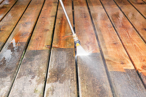 Best Dumpster Area Cleaning  in Red Oaks Mill, NY